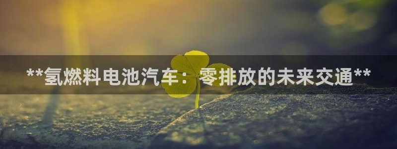 优发国际官网平台