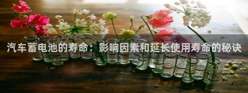 优发国际的官网是正品吗