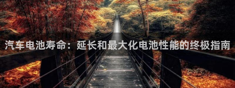 优发国际集团股份有限公司是国企吗