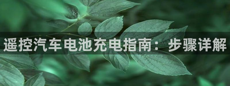 优发国际手机版唯一官网下载