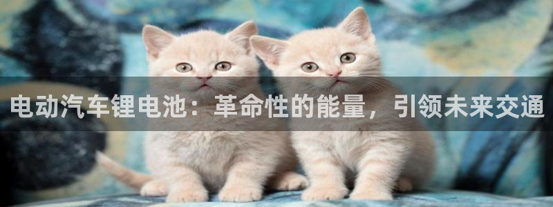 优发国际下载安装app