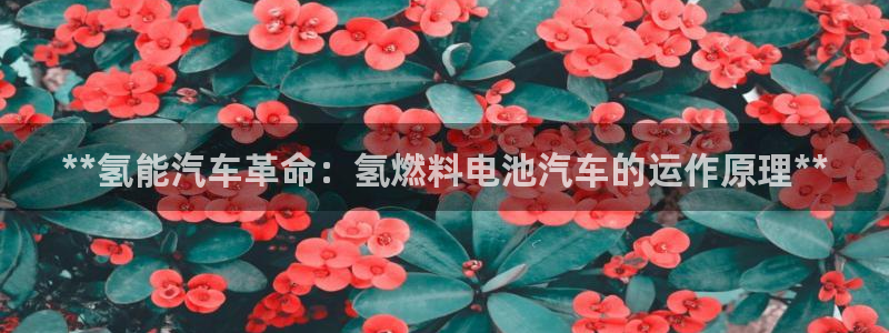 优发国际合并到哪里了啊