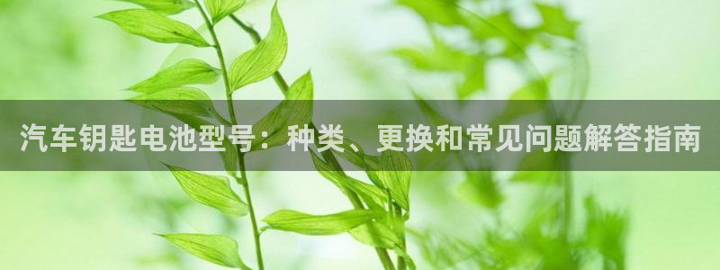 优发国际首页首页y6