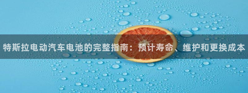 优发国际手机版客户端下载