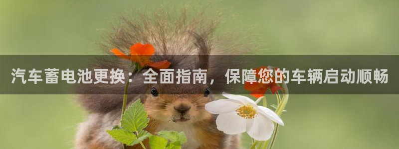 优发国际官网手机版入口