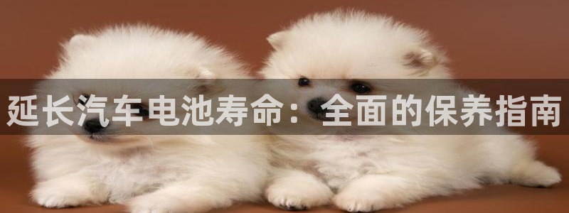 优发国际官网下载app