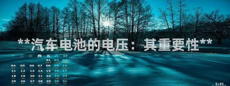 优发国际手机客户端下载不了