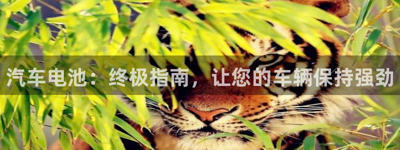 优发国际官网手机版下载安装
