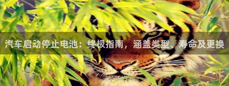 优发国际网官网17q8