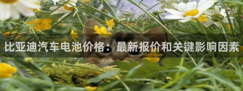 优发国际多少钱