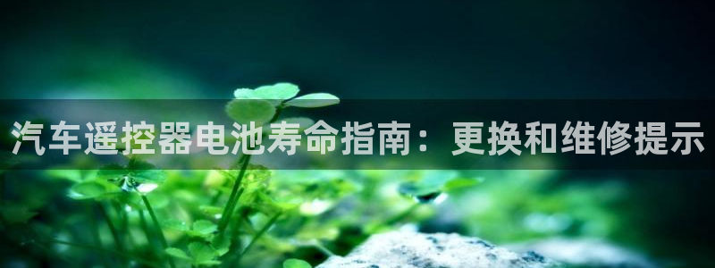 优发国际顶级