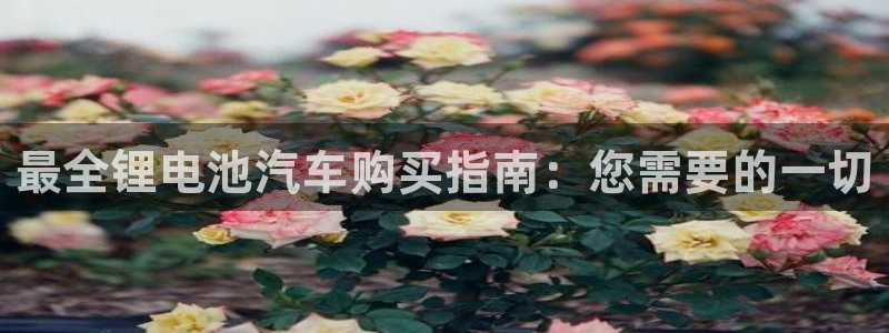优发国际官网值是多少