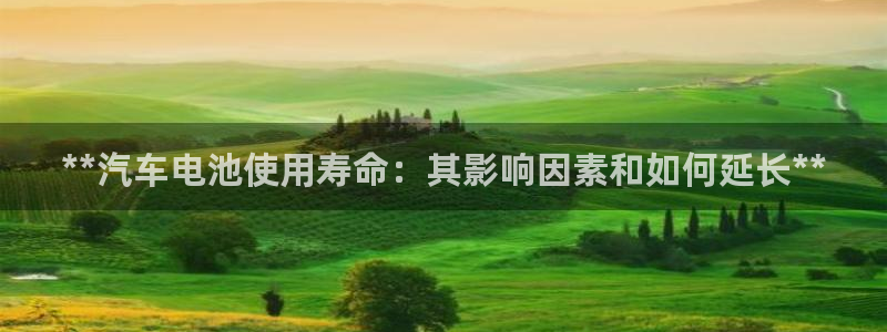 优发国际注册平台官网