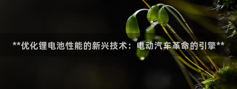 优发国际官方网平台登录