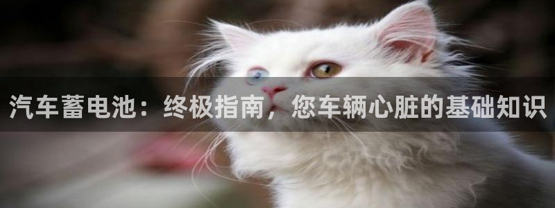 优发国际手机版网站官网