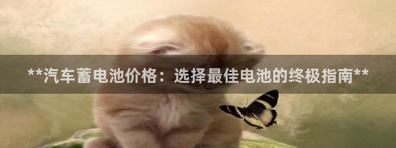 优发国际官网是多少