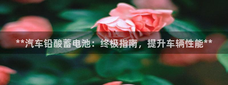 优发国际网官网址是多少