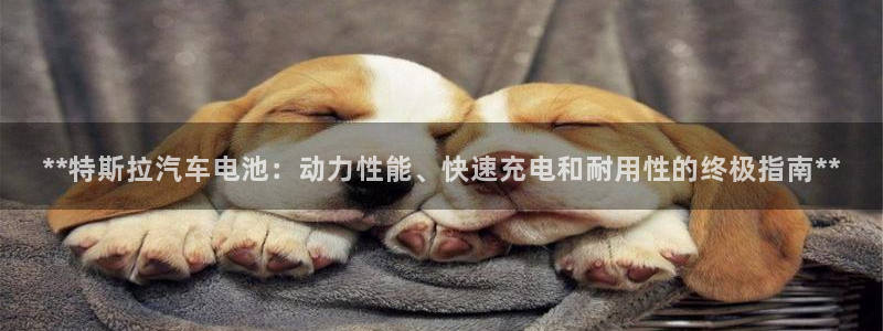 优发国际官网网站首页