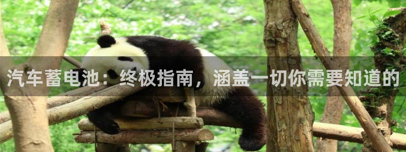 优发国际手机客户端官网下载