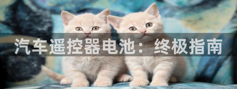 优发国际官网官方网址