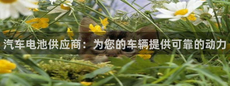 优发国际app官网下载安装手机版