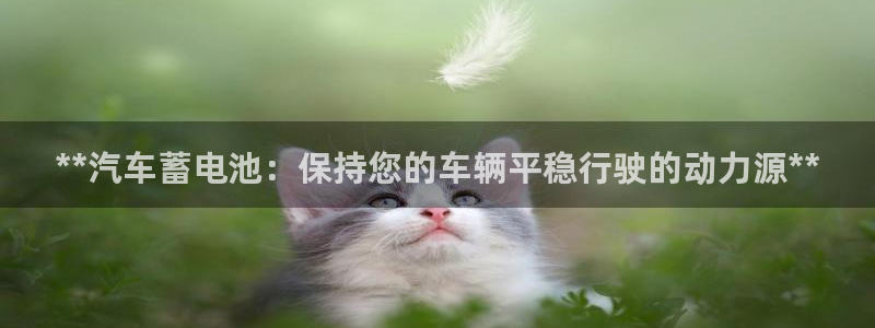 优发国际平台18