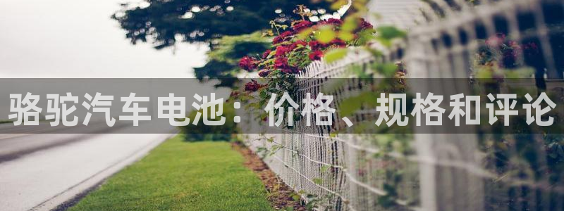 优发国际官网入口app下载