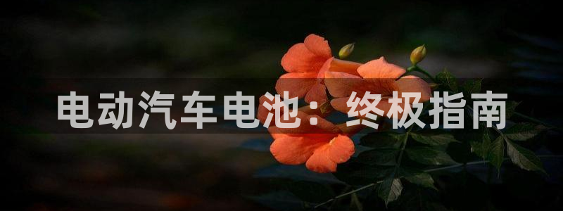 优发国际手机客户端官网首页