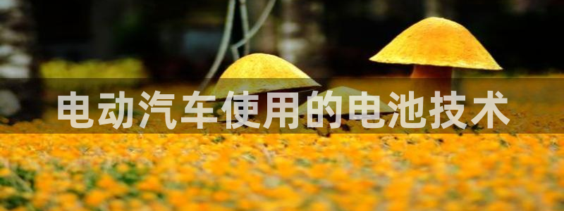 优发国际网官网17w8