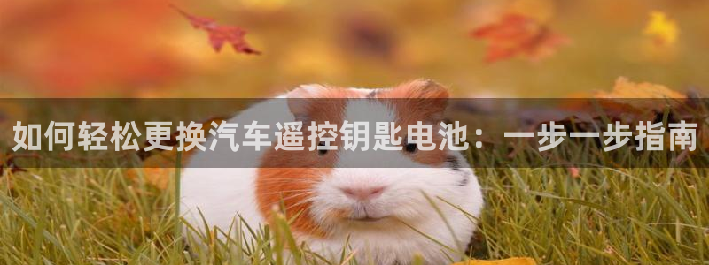 优发国际客服联系方式