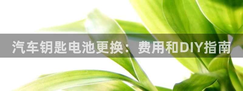 优发国际官方网平台