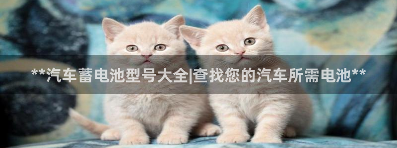 优发国际平台u8