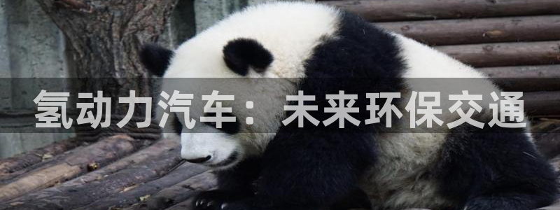 优发国际手机客户端