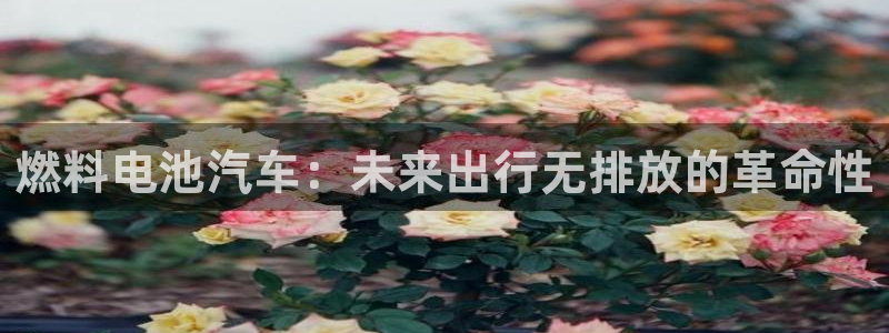 优发国际网官网17w80是什么