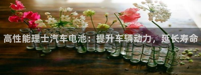 优发国际合并到哪里了