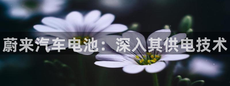 优发国际注册平台