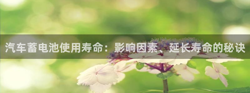 优发国际官方下载app
