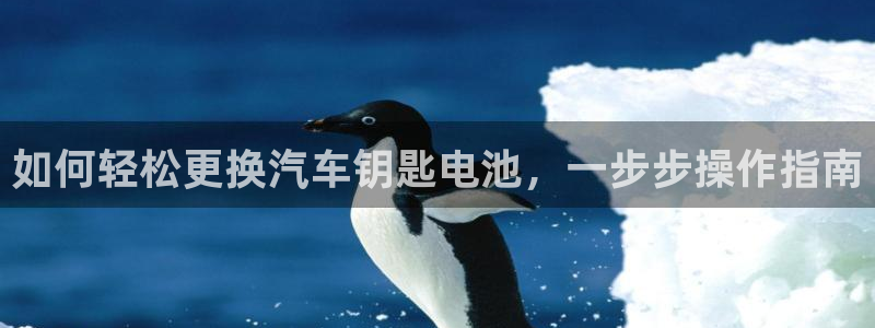 优发国际网官