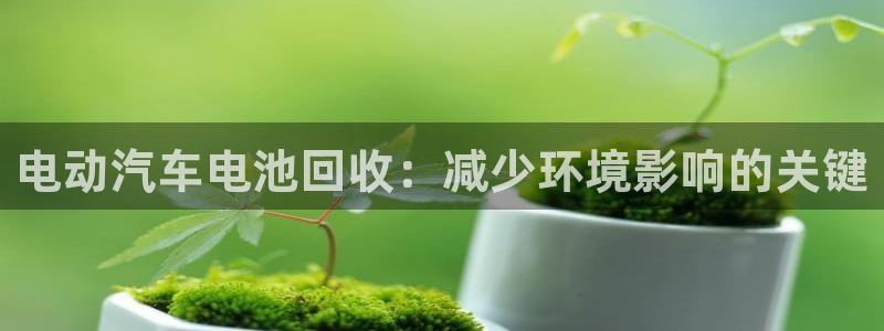 优发国际这个平台怎么样可靠吗