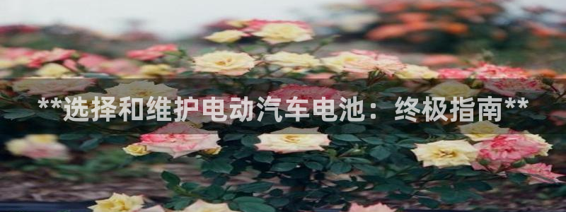 优发国际手机app下载地址