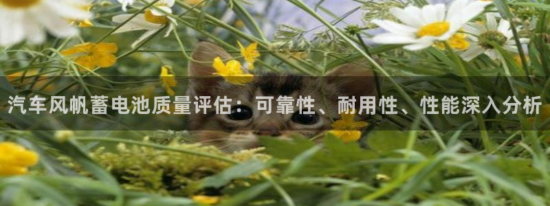 优发国际下载安装