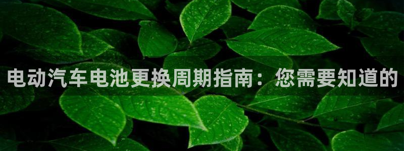 优发国际手机版下载