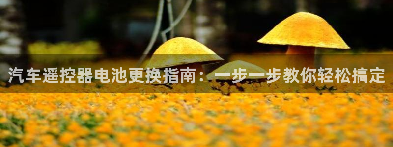 优发国际网官网