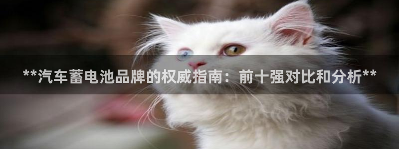 优发国际手机客户端下载安装
