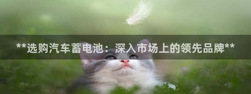 优发国际登陆：**选购汽车蓄电池：深入市场上的领先品牌**