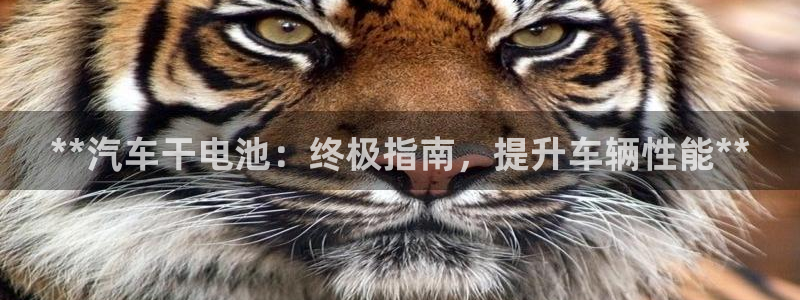 优发国际下载