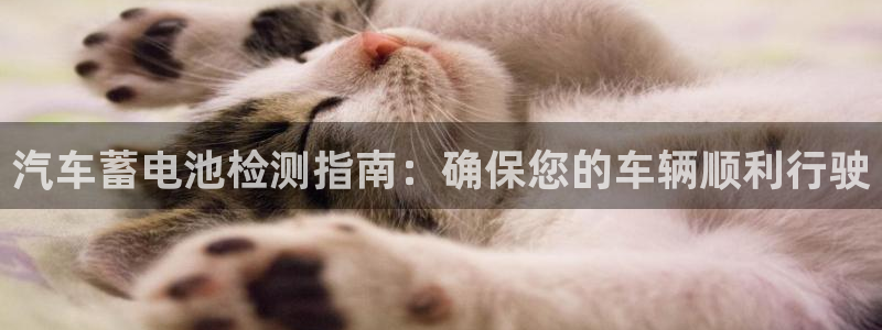 优发国际官方网手机版下载安卓