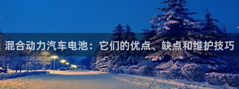 优发国际网站多少