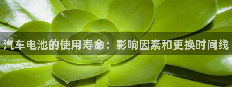 优发国际这个平台怎么样知乎