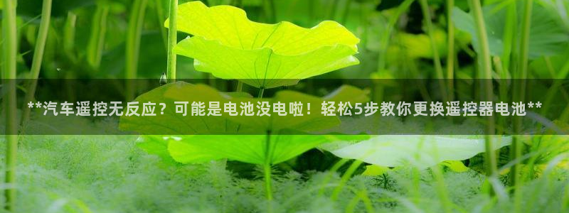 优发国际官网首页